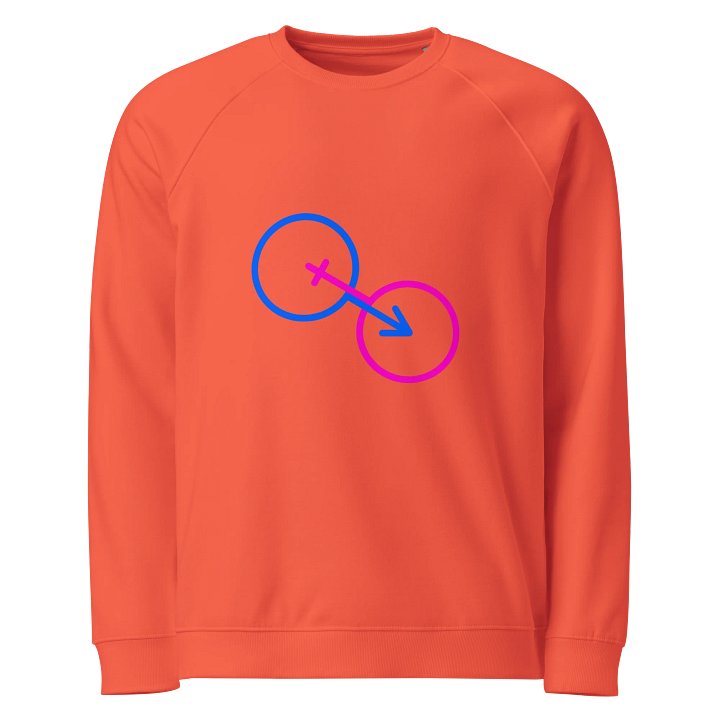 Traditional Relationship Power Organic Raglan Sweatshirt product image (1)