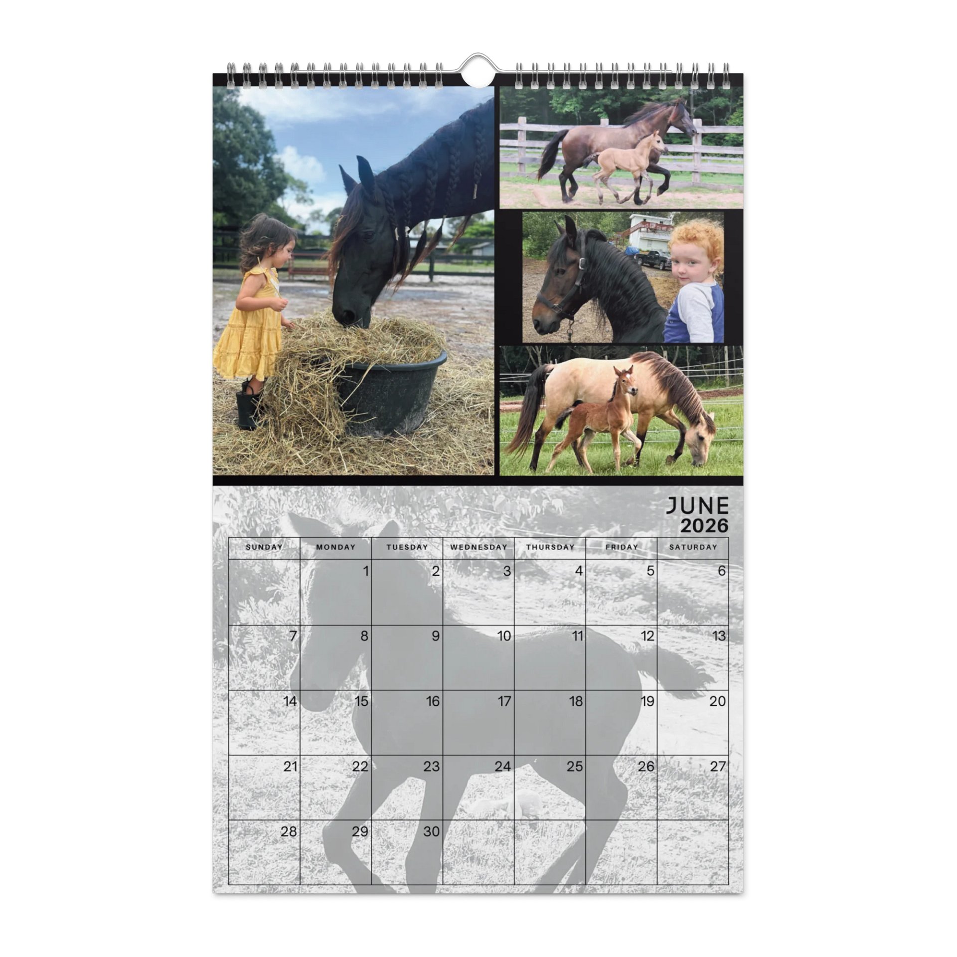2026 Moriesian Horse Registry Calendar product image (8)