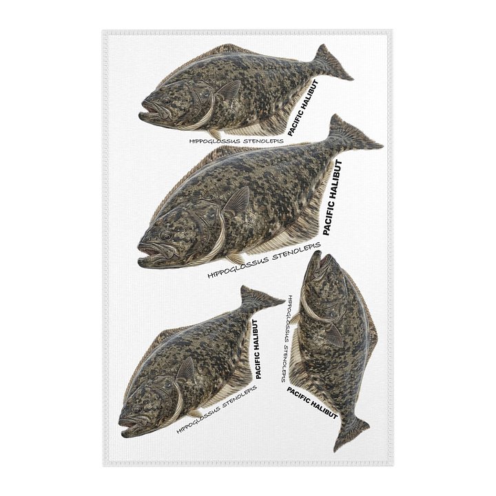 PACIFIC HALIBUT RUG product image (1)