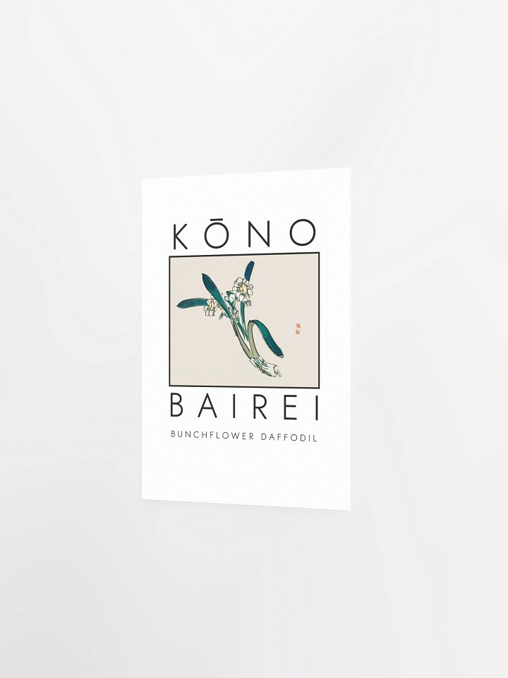 Kono Bairei Bunchflower Daffodil Poster product image (11)