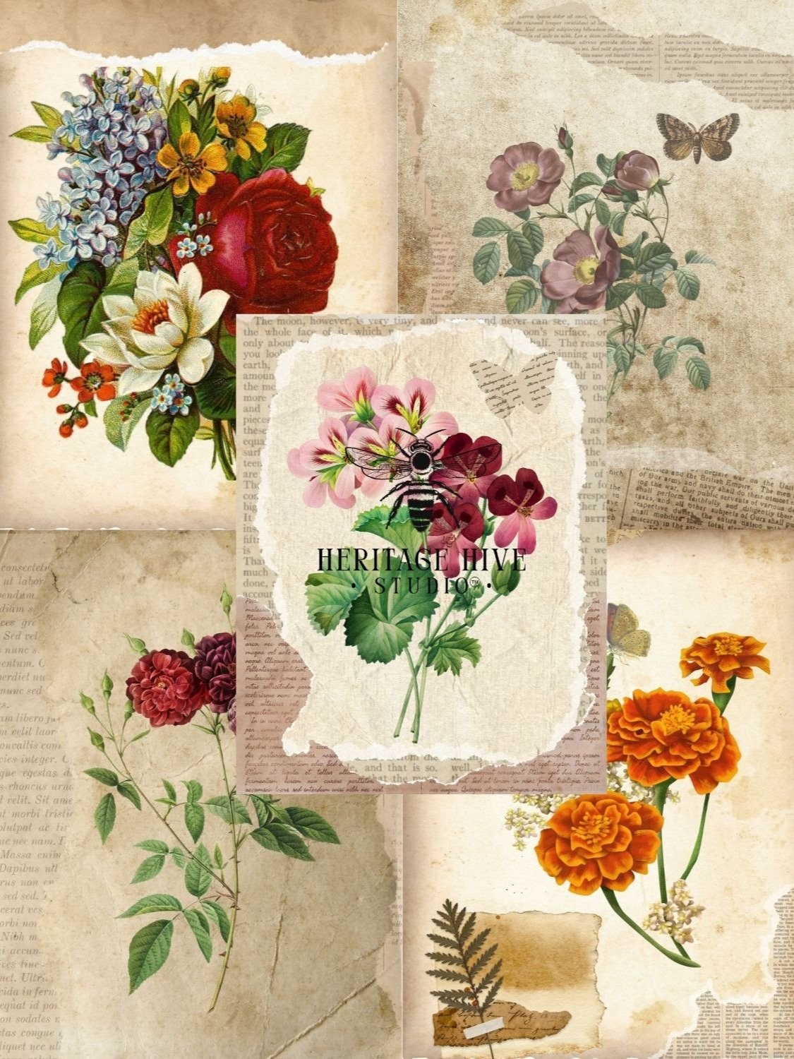 Vintage Botanical Printables product image (2)