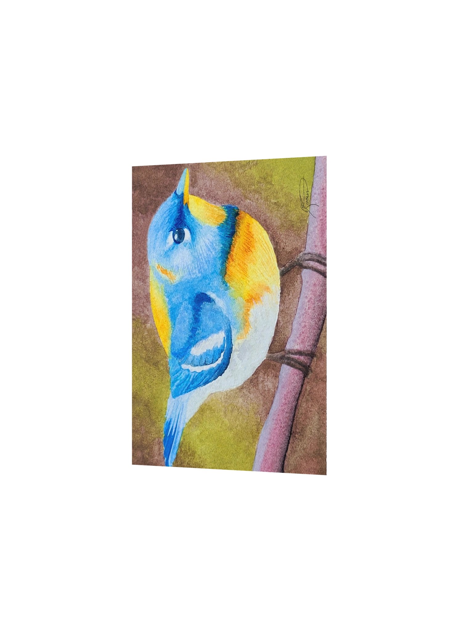Northern Parula (2026) - Watercolour Print product image (3)