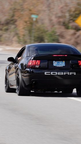 American 💪🏻 

#cobra #mustang #corvette #carsofinstagram