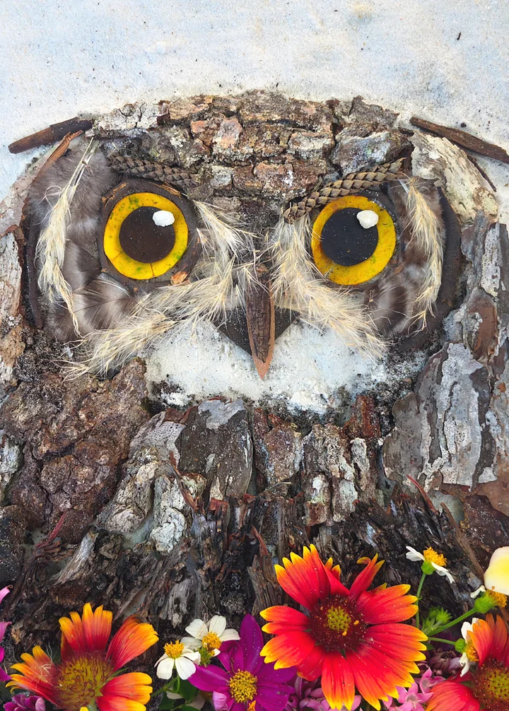 MORNING OWL | Fine Art Print product image (4)