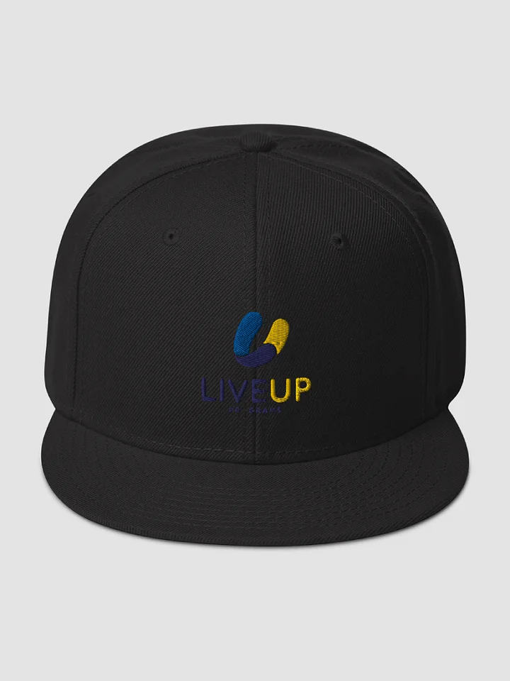 [LiveUp] Snapback - Otto Cap 125-978 product image (2)
