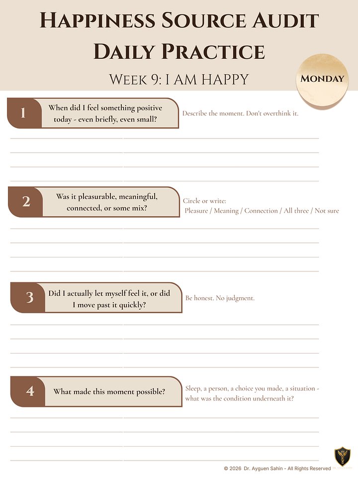 HAPPINESS SOURCE AUDIT product image (2)