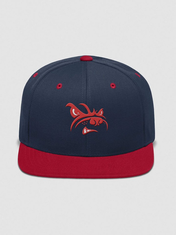 Bone Yard Blue/Red Embroidered Hat product image (1)