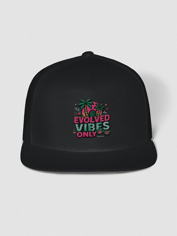 Evolved Vibes Snapback Cap product image (1)