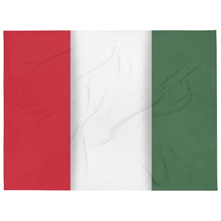 Red White Green Flag Colored Throw Blanket product image (1)