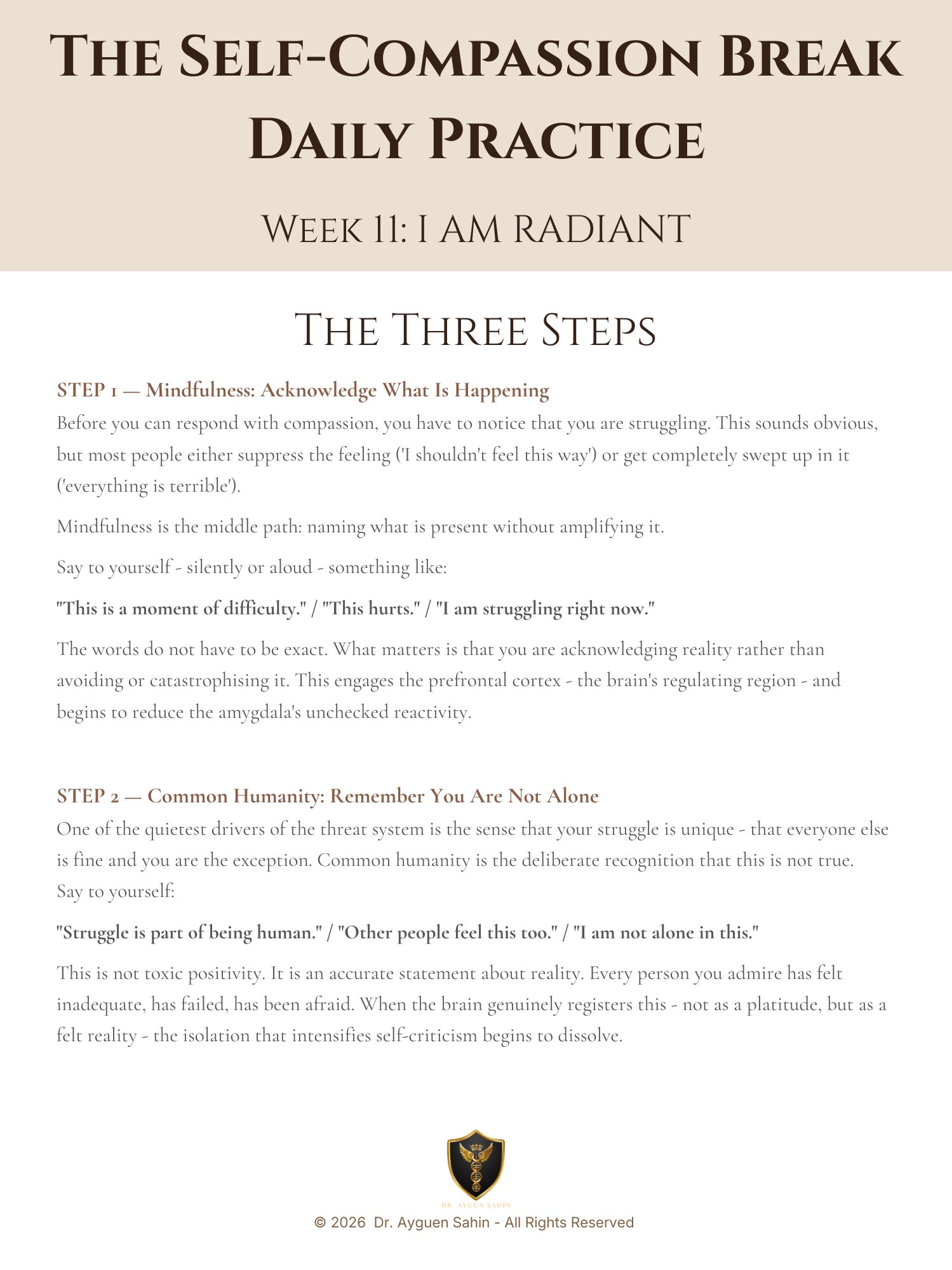 Self-Compassion Break product image (3)