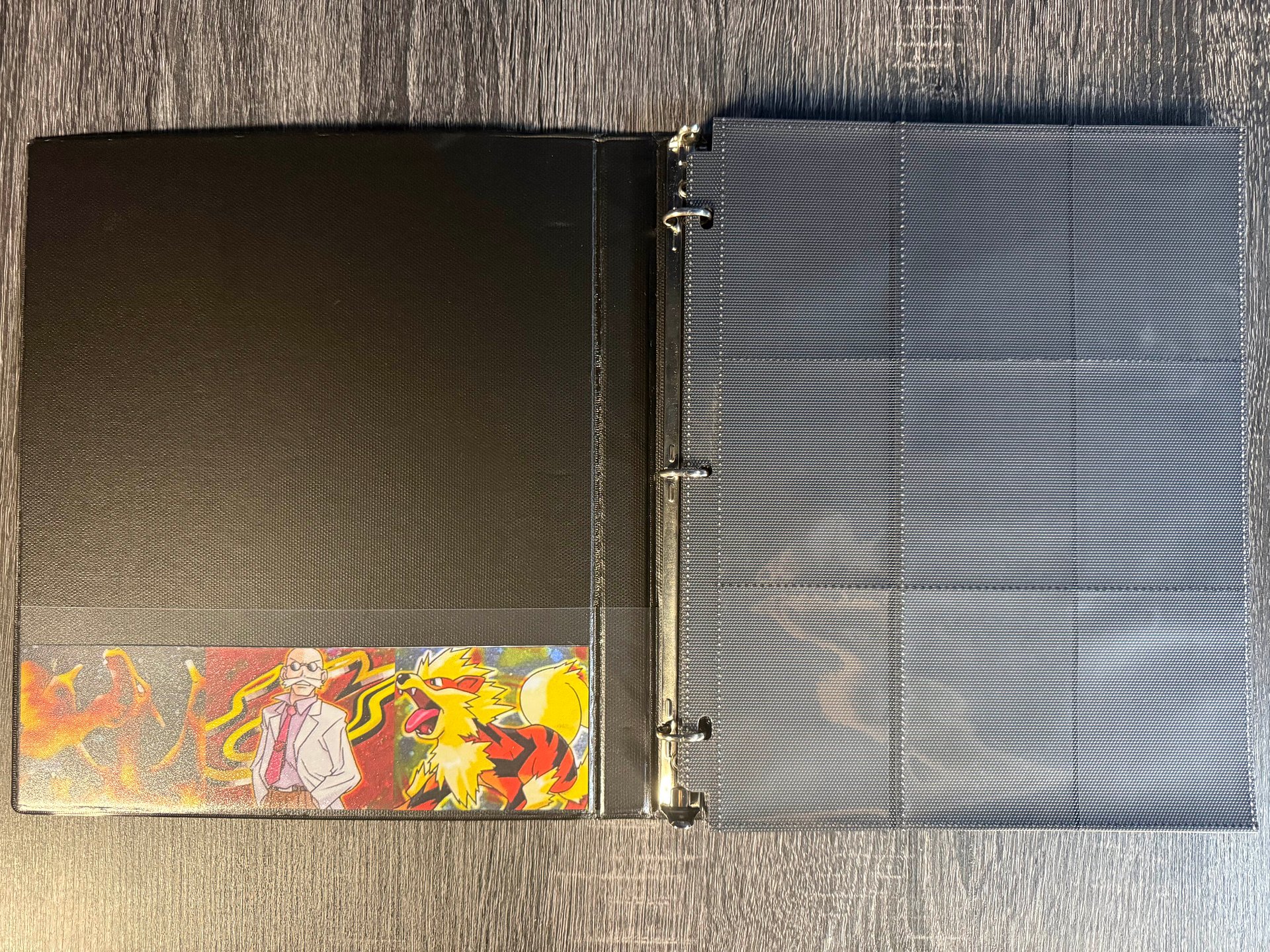 SkyeKeep™ Gym Challenge Custom Master Set Binder product image (2)