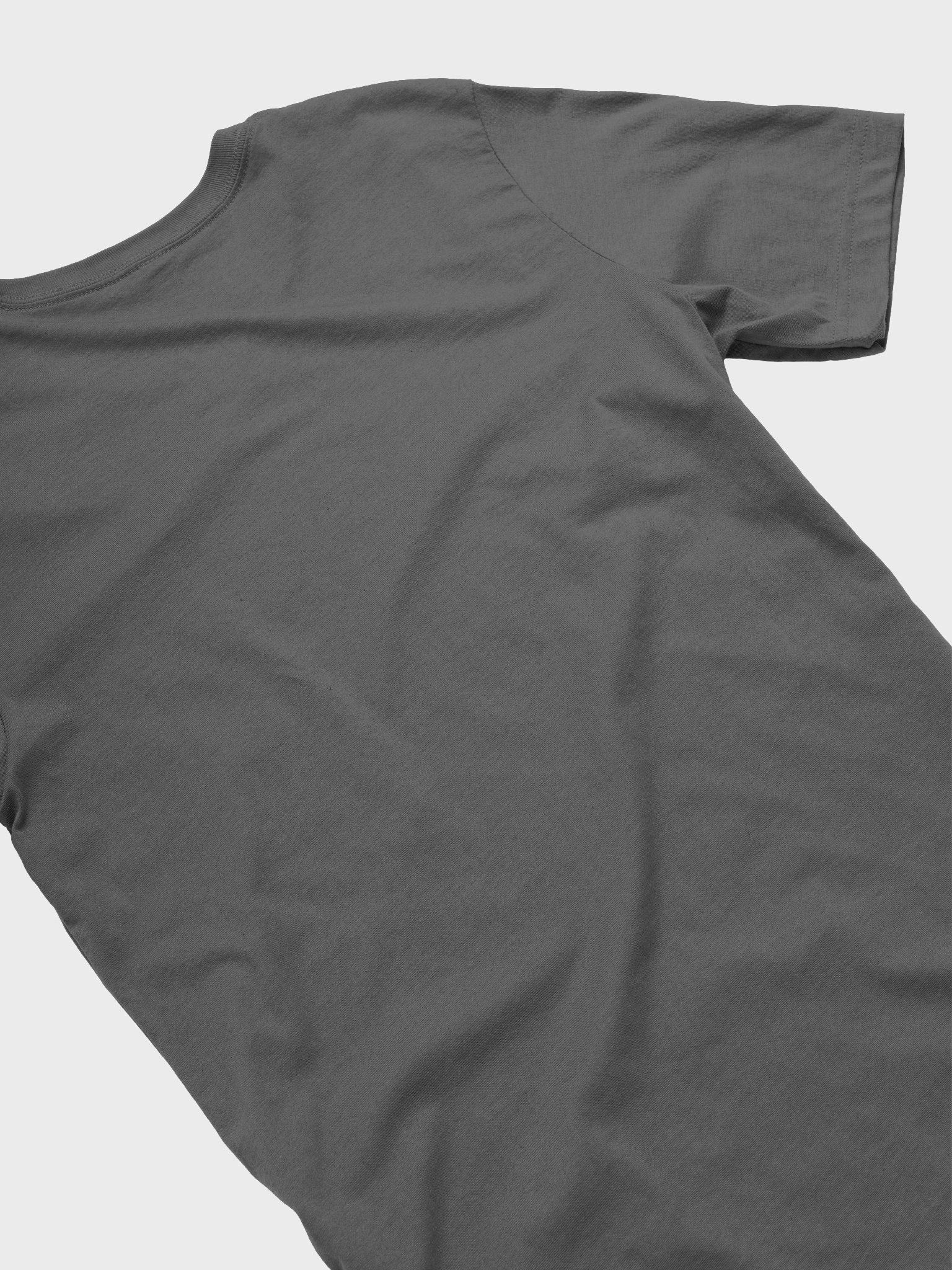Logo T-Shirt product image (16)