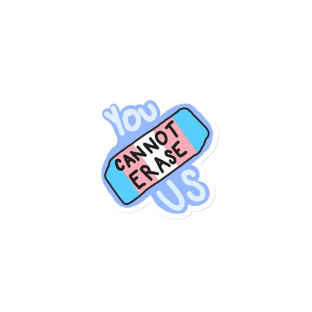 You Cannot Erase Us Pride Magnet product image (1)