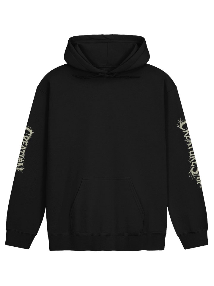 Hoodie product image (1)