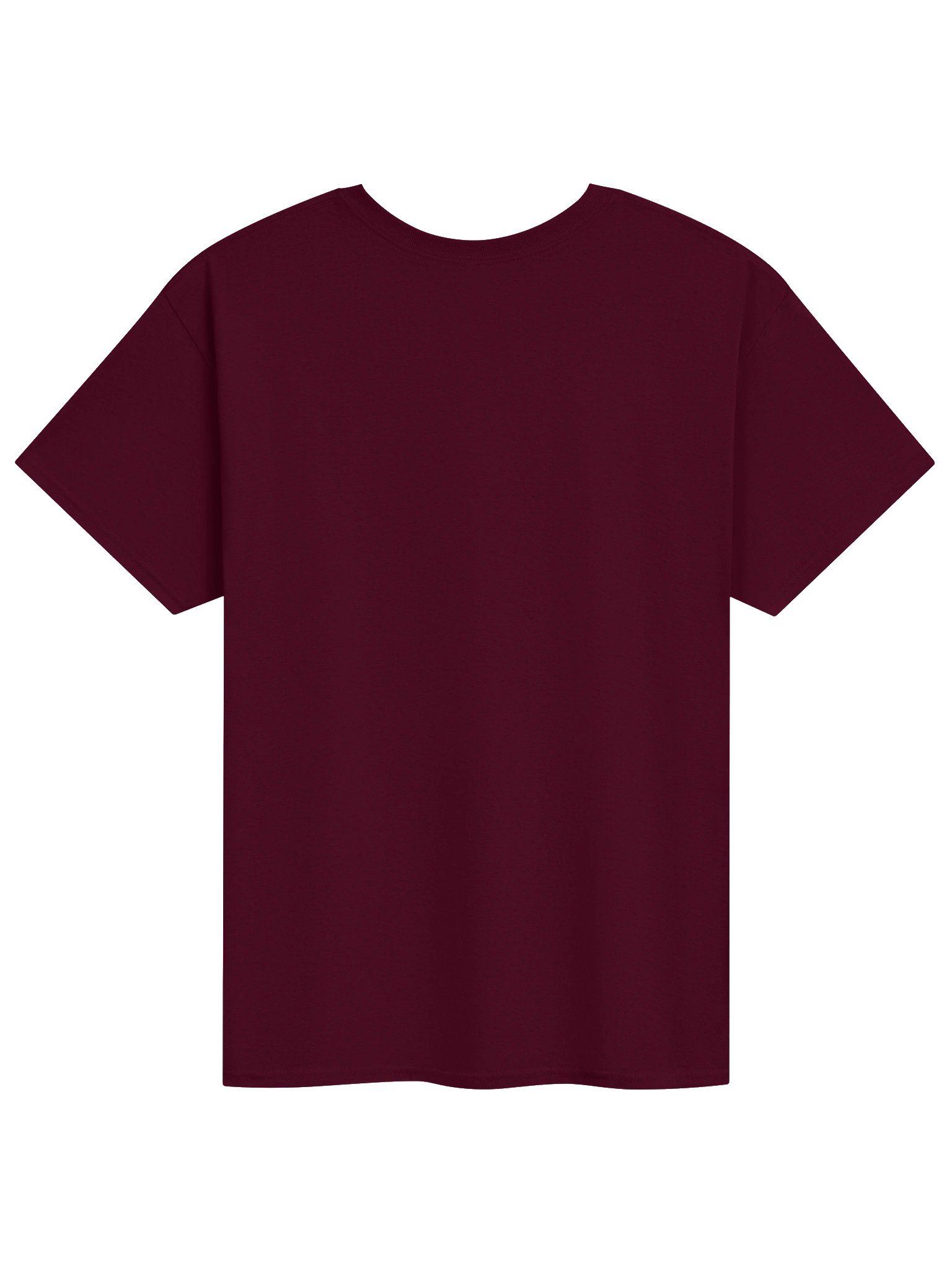 T-Shirt Unisex "terraecielo" - Gildan Heavyweight Classica product image (2)