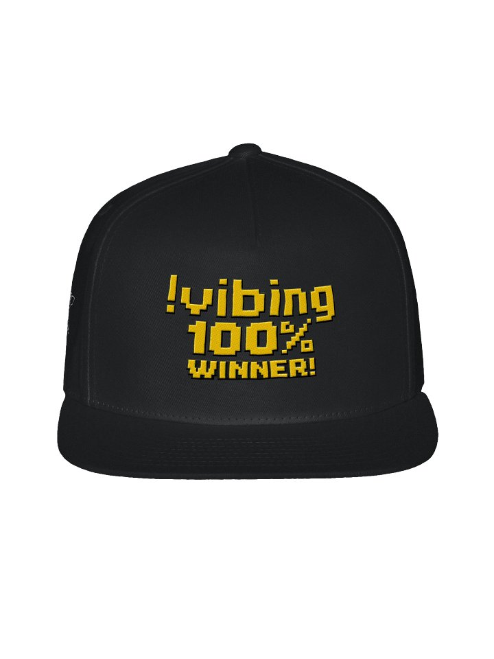!vibing 100% Winner! Hat product image (4)