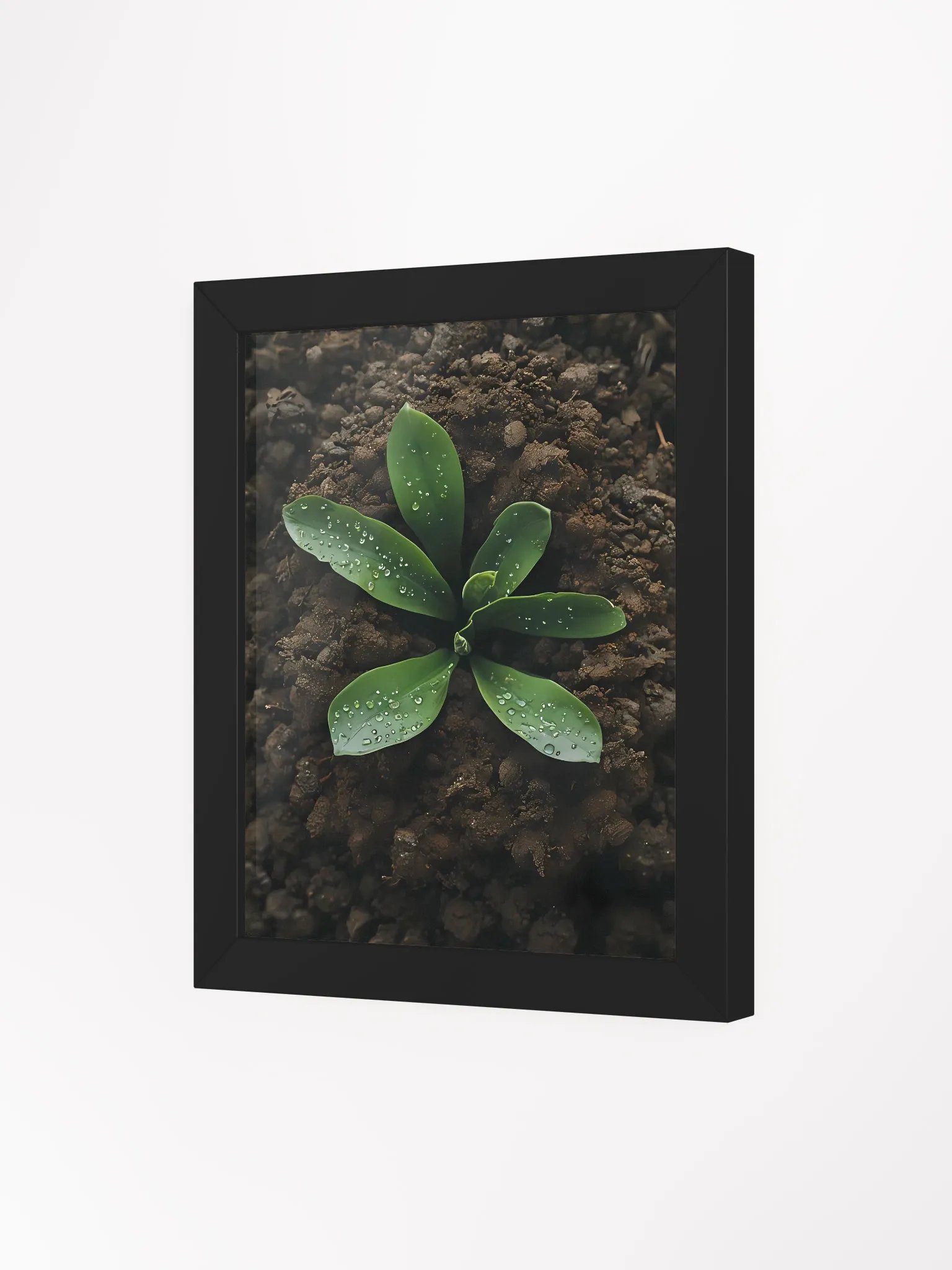 Dewy Greenery Framed Matte Poster product image (4)