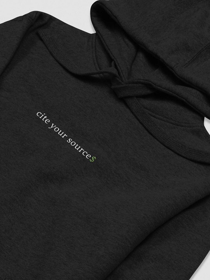 the "cite your source$" embroidered hoodie. product image (1)