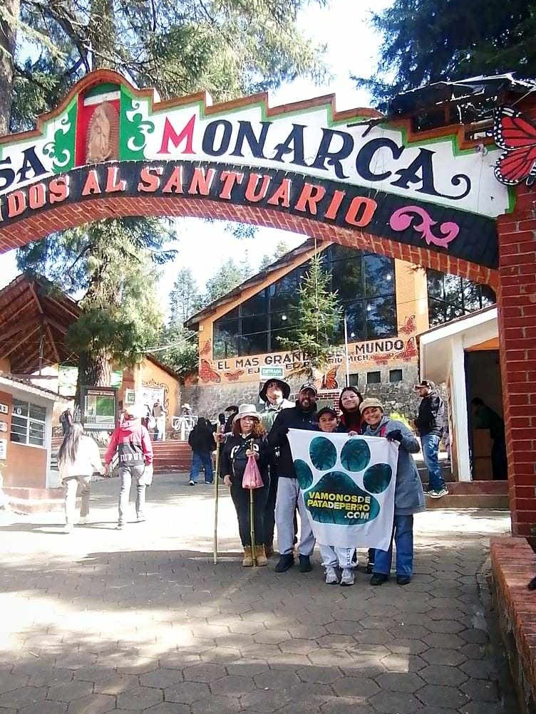 Tour al Santuario de la Mariposa Monarca desde la CDMX product image (4)