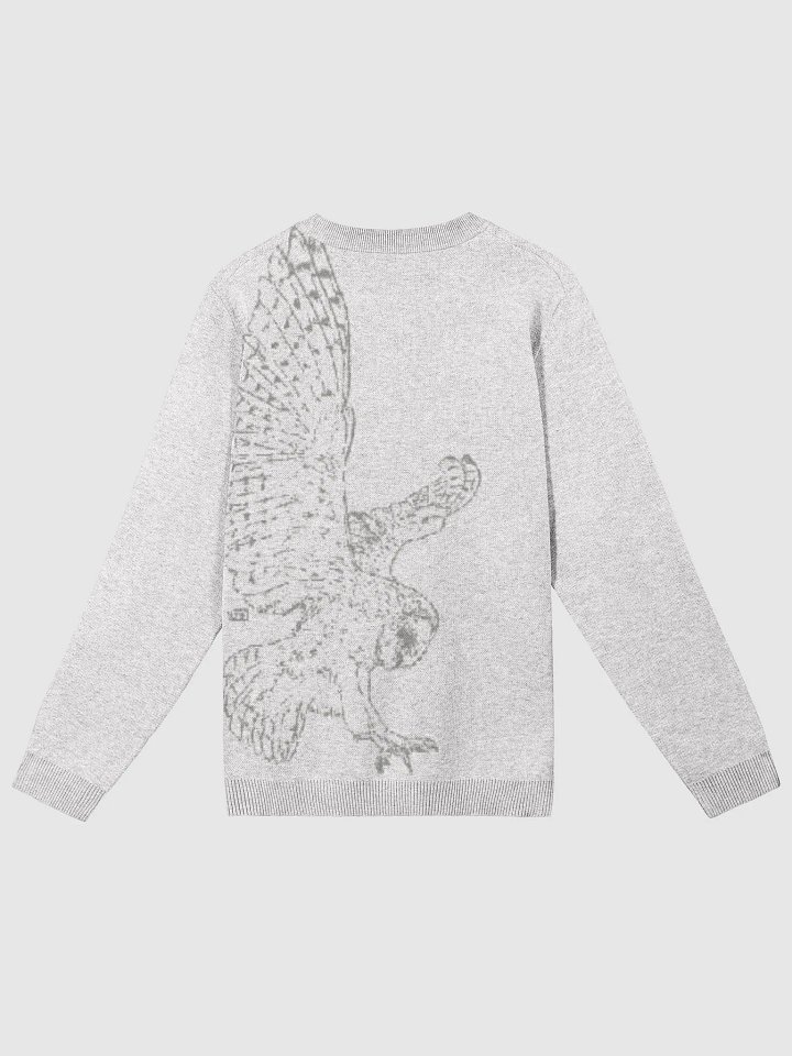 Take Flight - Jacquard Knitted Crewneck product image (2)