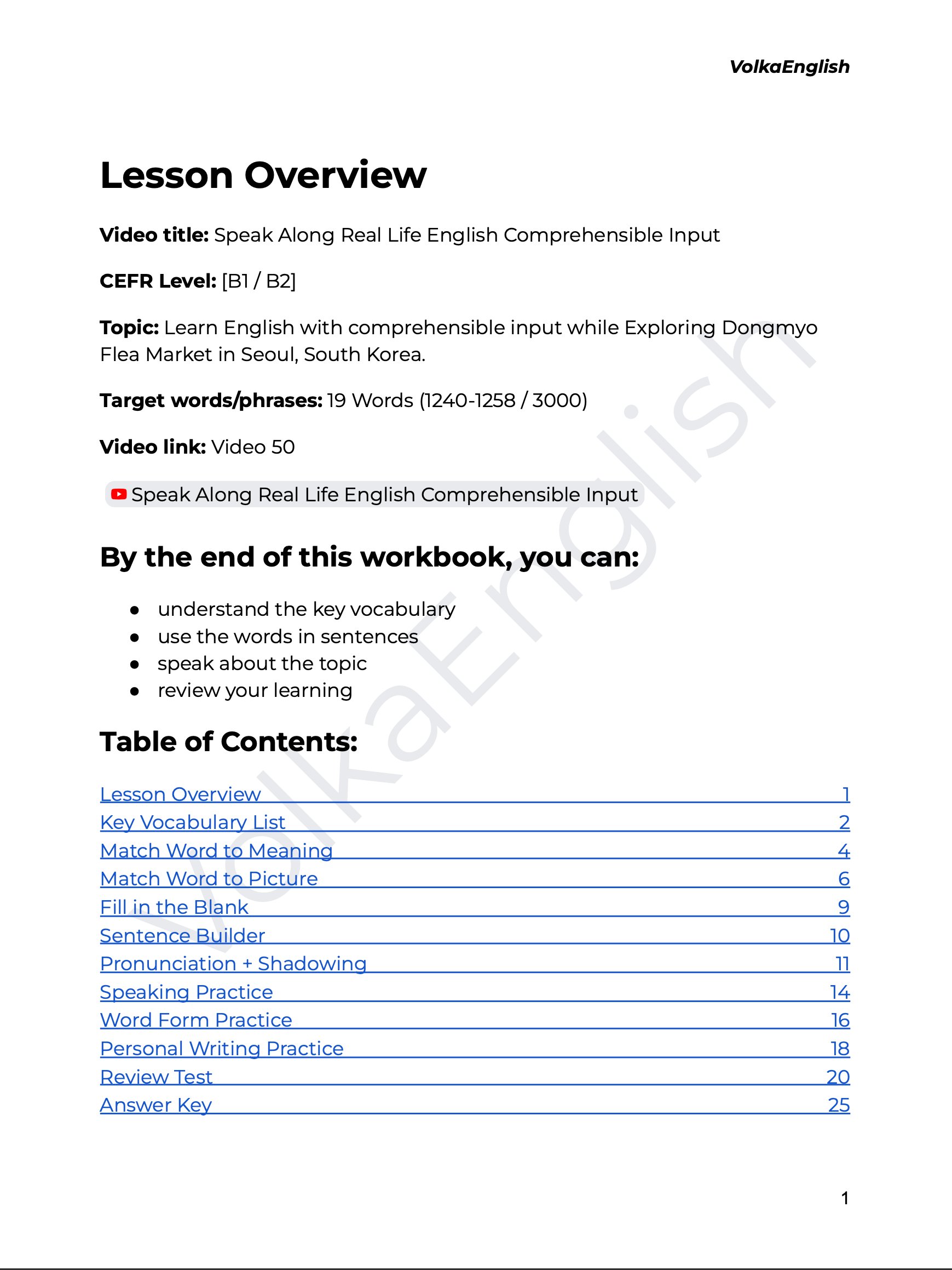 Speak Along Real Life English Comprehensible Input - Video 50 Study Pack product image (2)