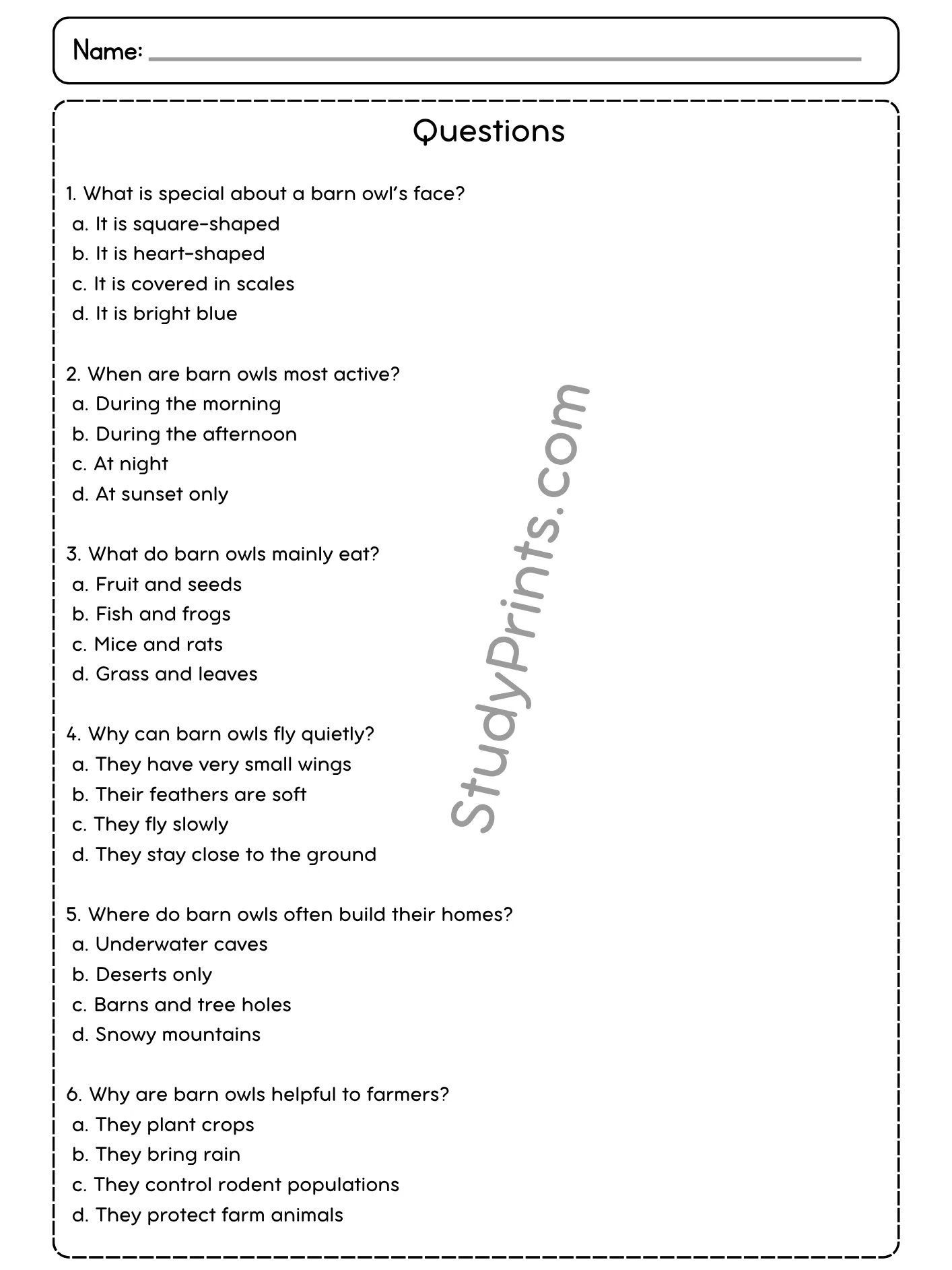 The Life of Barn Owls Reading Comprehension Passage and Questions | Printable PDF product image (3)