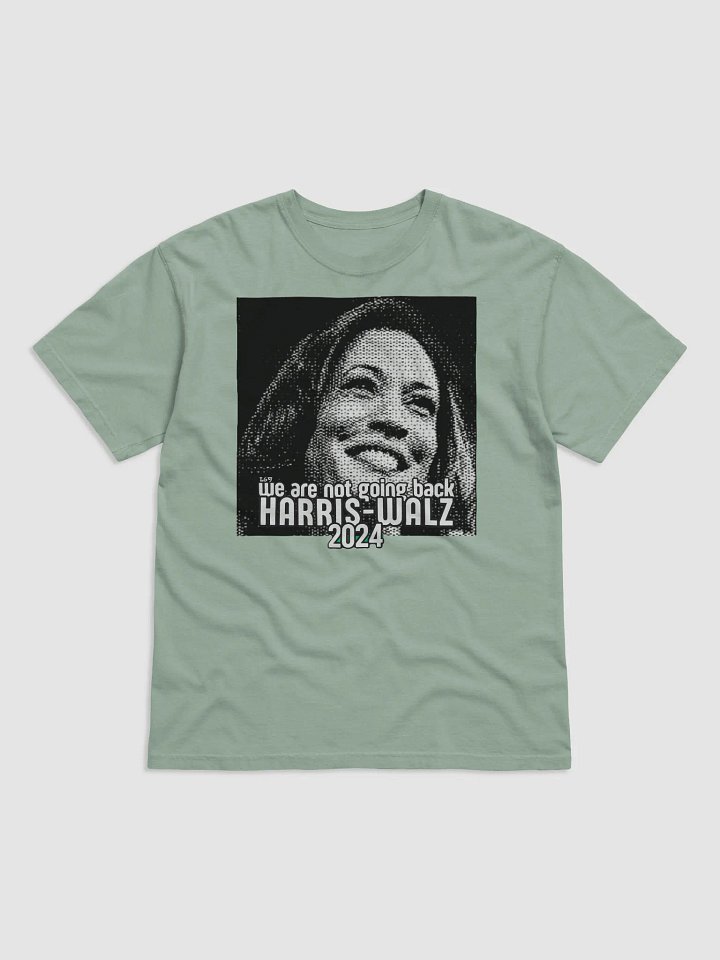 HARRIS-WALZ 2024 WE ARE NOT GOING BACK product image (6)