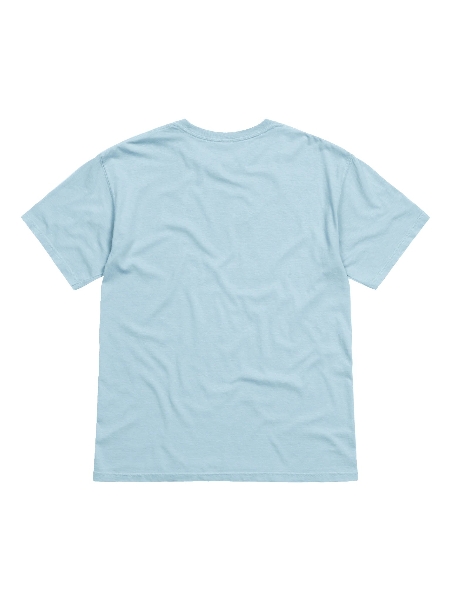 2025 Birds T-Shirt product image (25)