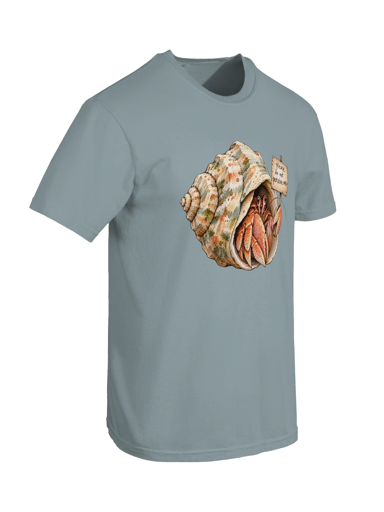 Do Not Perceive Me Hermit Crab product image (6)