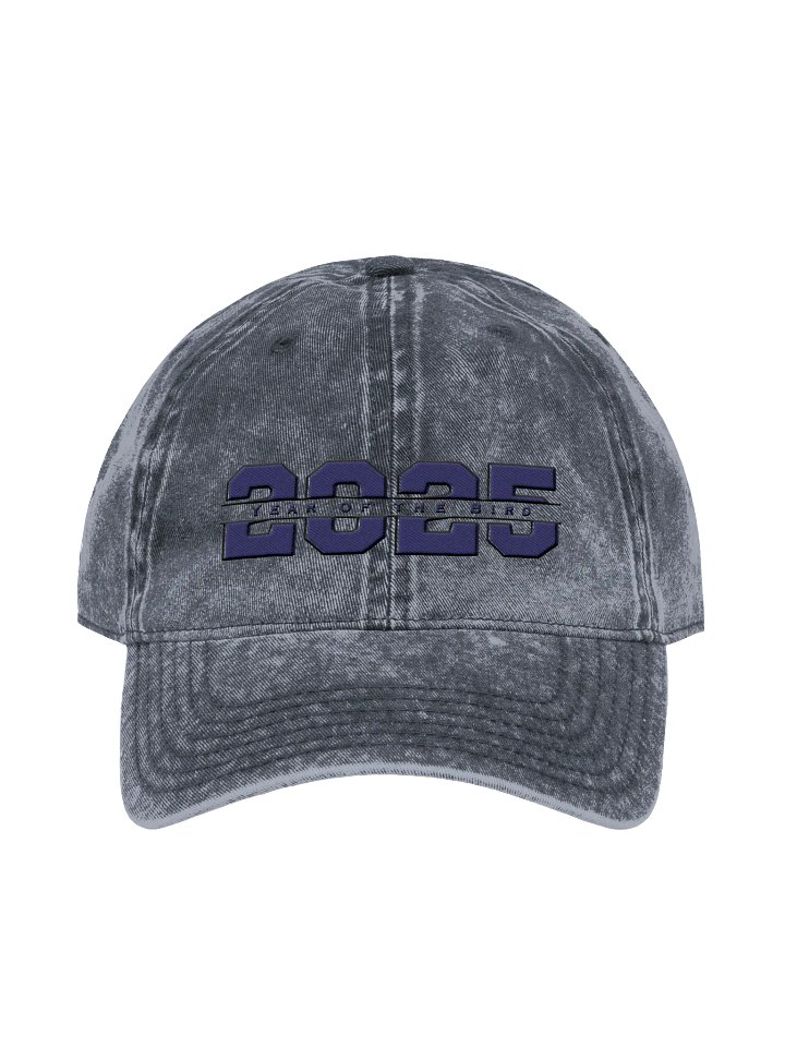 Navy "Year of the Bird" Vintage Cap product image (2)
