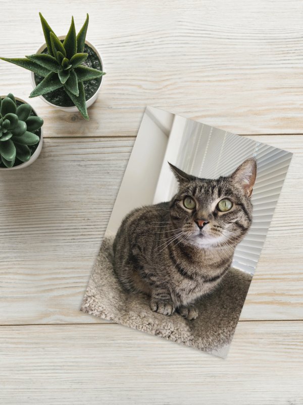 Emma Memorial Card product image (1)