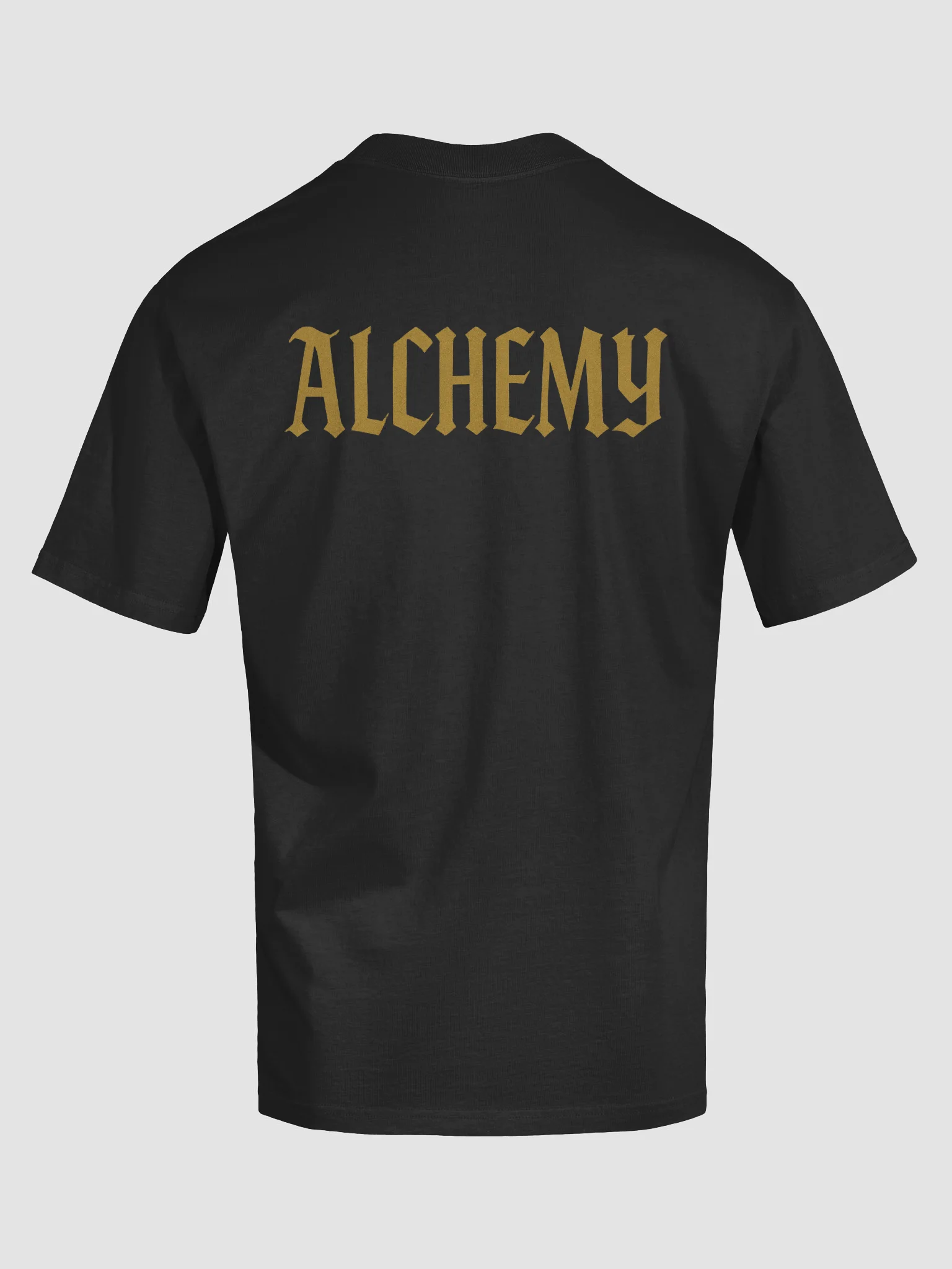 Ancient Life Oversized Tee product image (6)