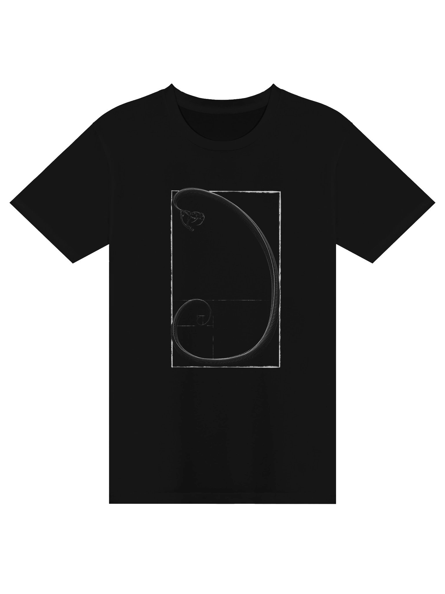 Fibonacci Spiral Graphic Tee product image (1)
