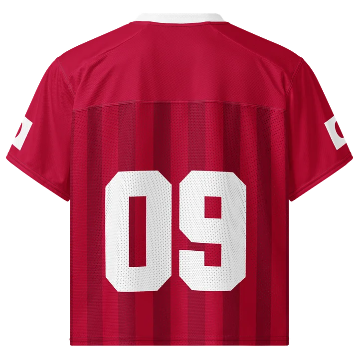 Japan Boxy Sports Tee product image (2)