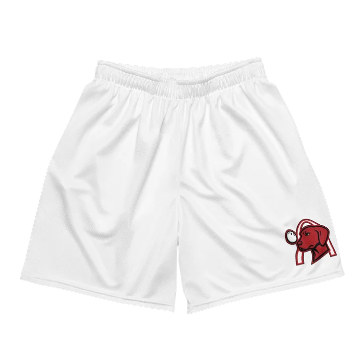 Arch Nemesis White Shorts product image (2)