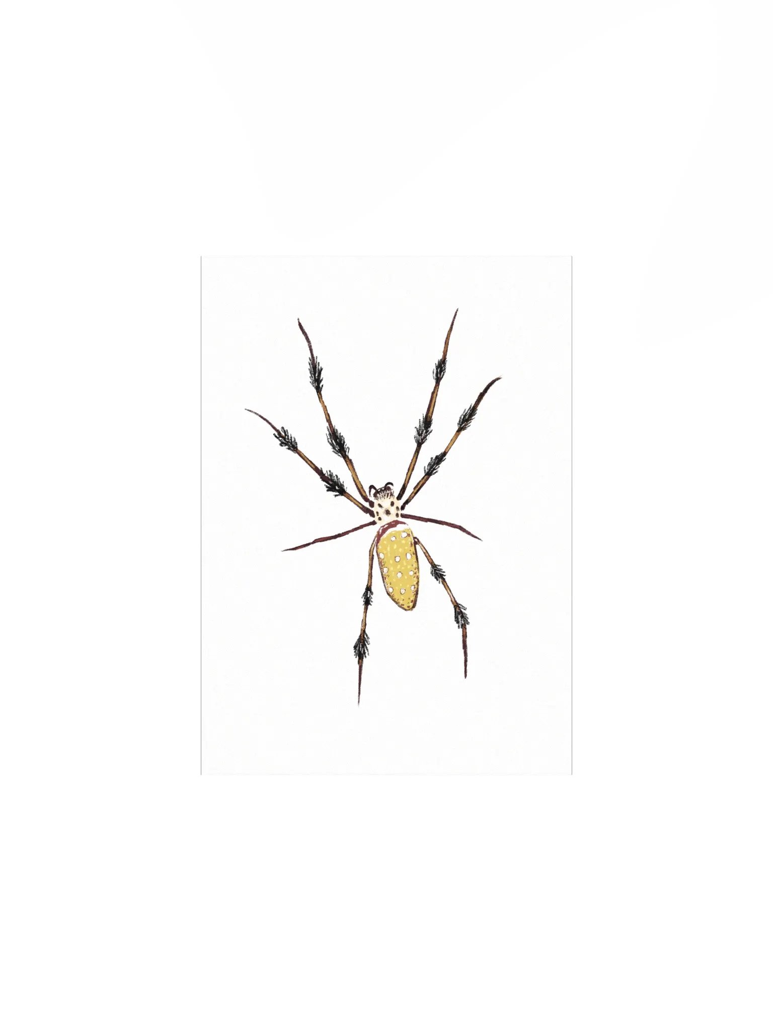Smart Spider Mini Print product image (1)