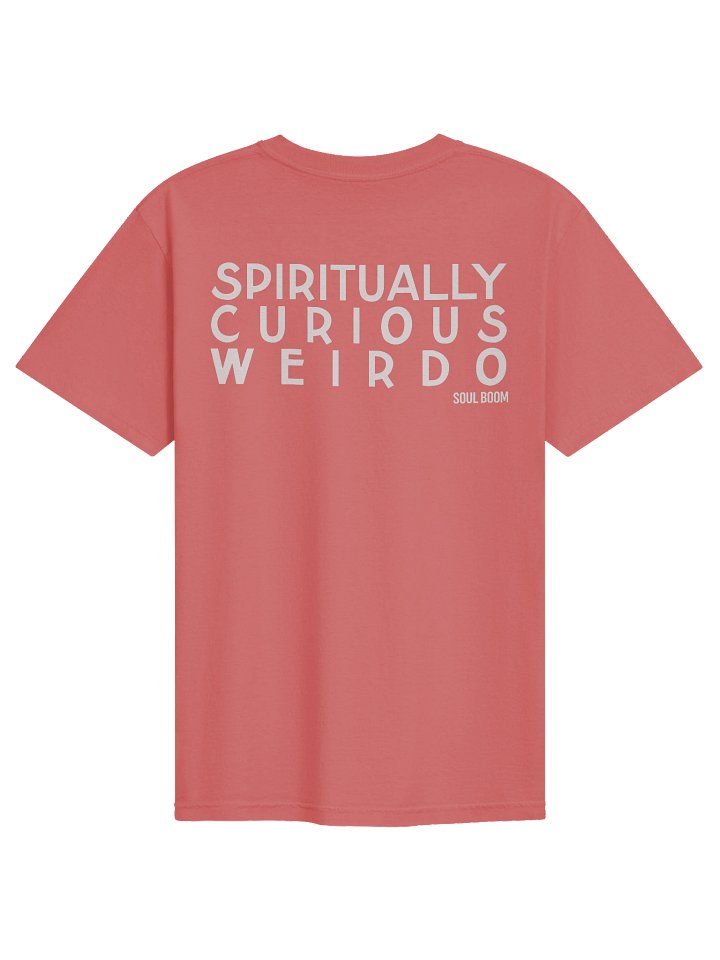 Spiritually Curious Tee product image (4)