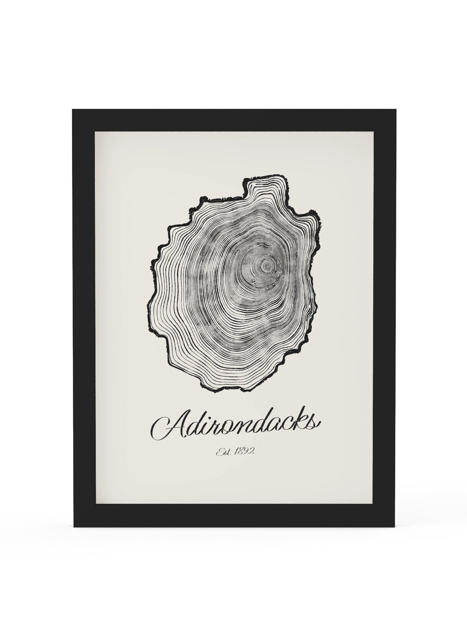 Adirondack Park Tree Ring Framed Print product image (4)