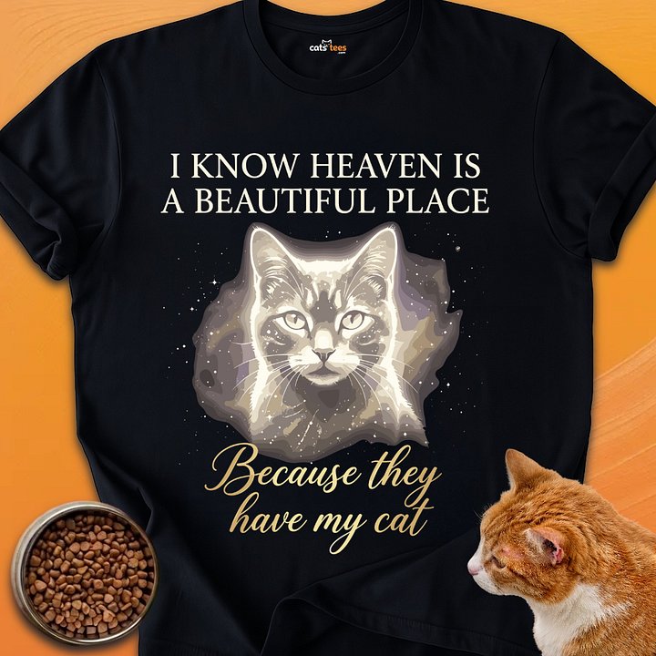 Heaven Is a Beautiful Place product image (1)