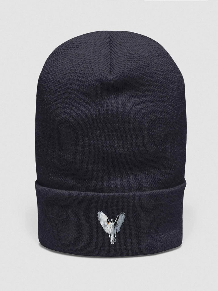 Angelic Wings Knit Beanie product image (1)