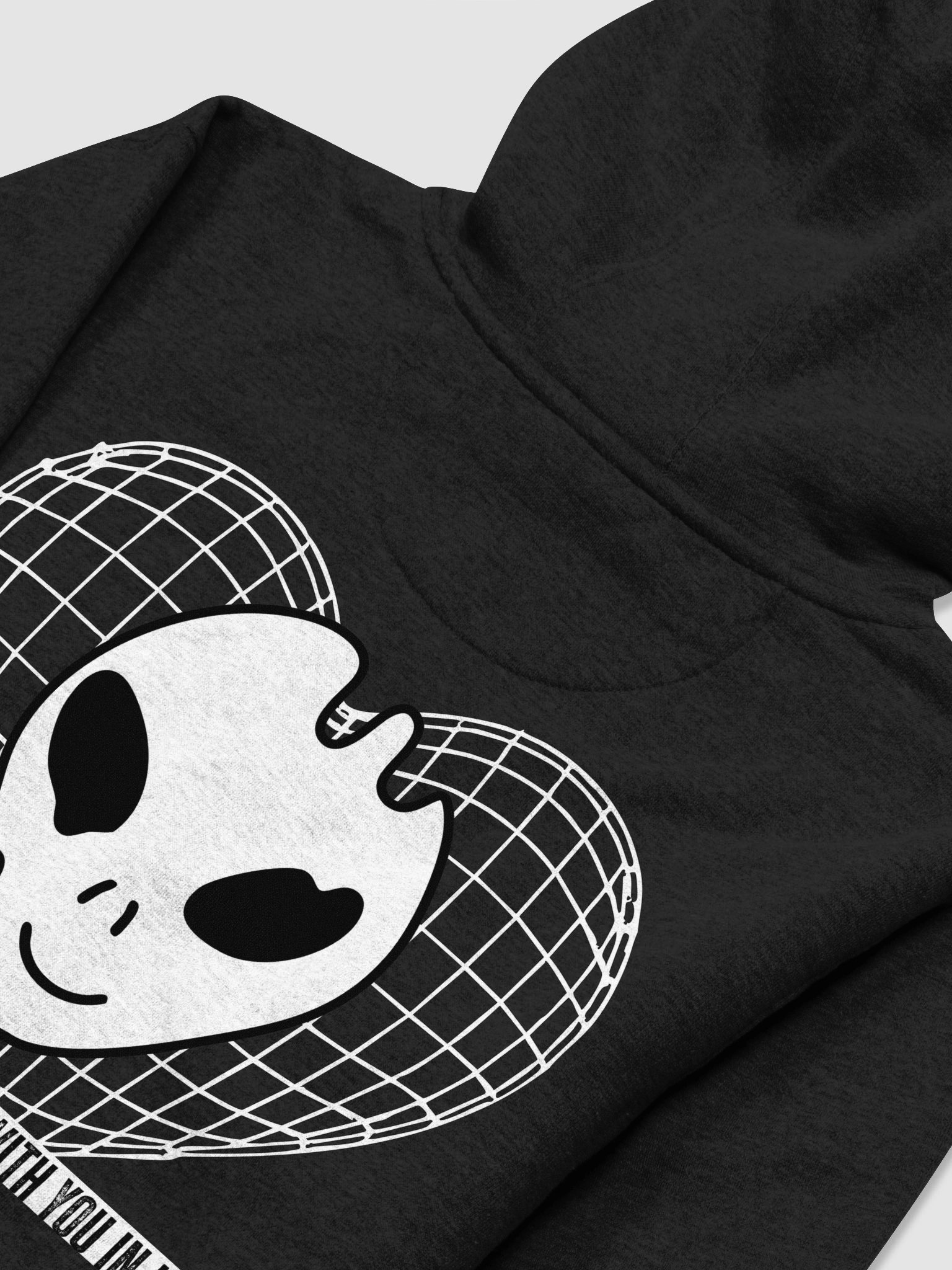TWIBWYII Hoodie product image (16)