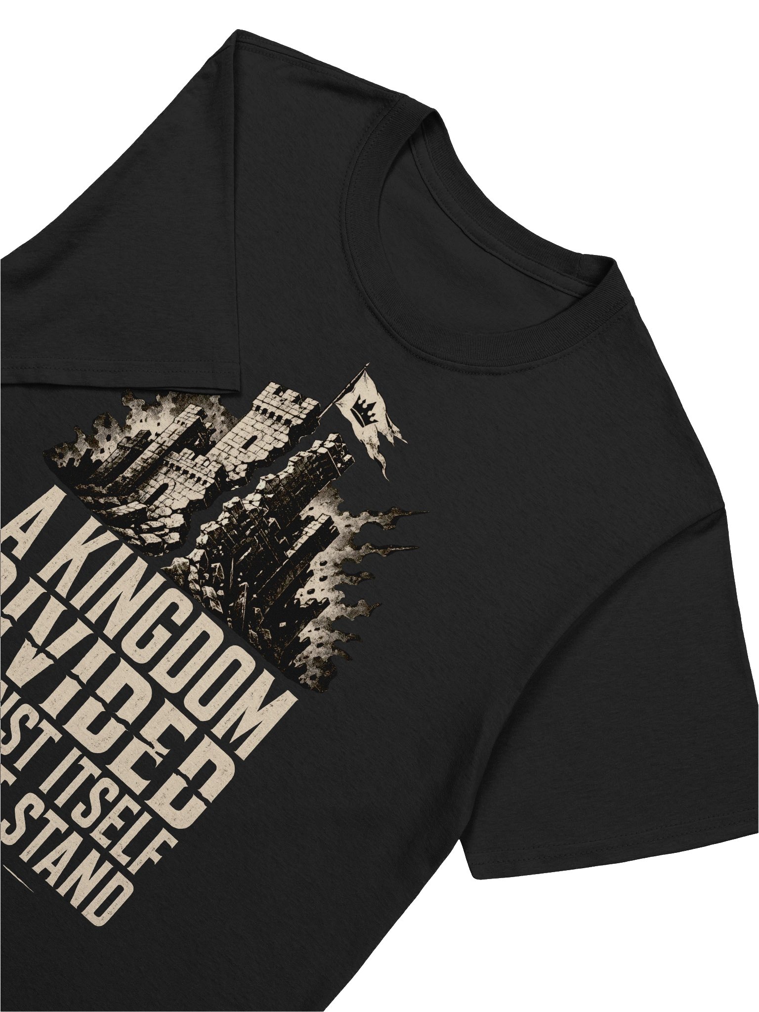 A Kingdom Divided Against Itself Cannot Stand T-Shirt product image (3)