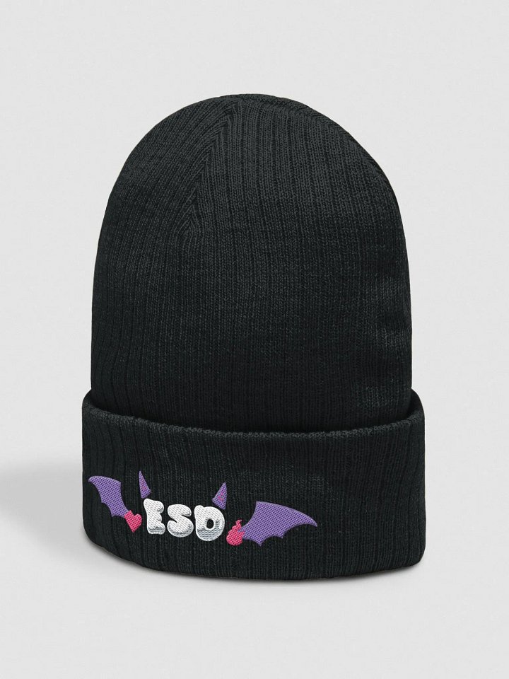 ESD winged beanie product image (2)