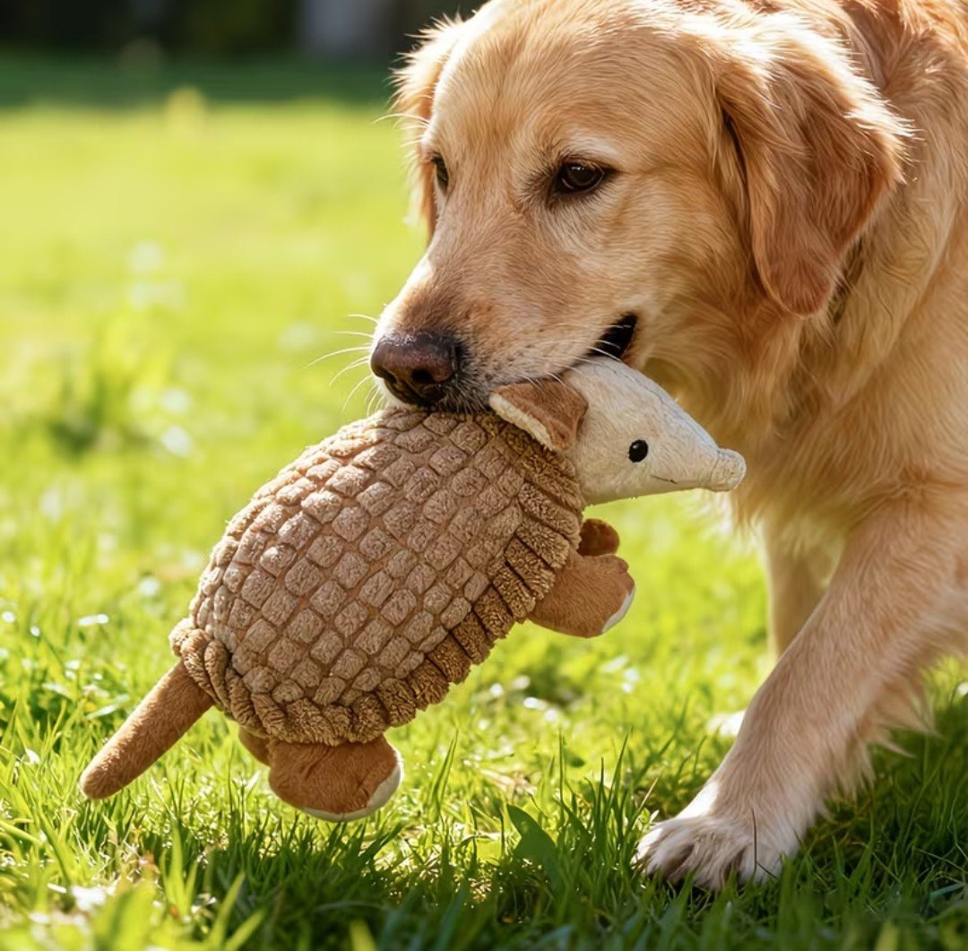 Cute XL Armadillo Durable Dog Chew Toy product image (7)