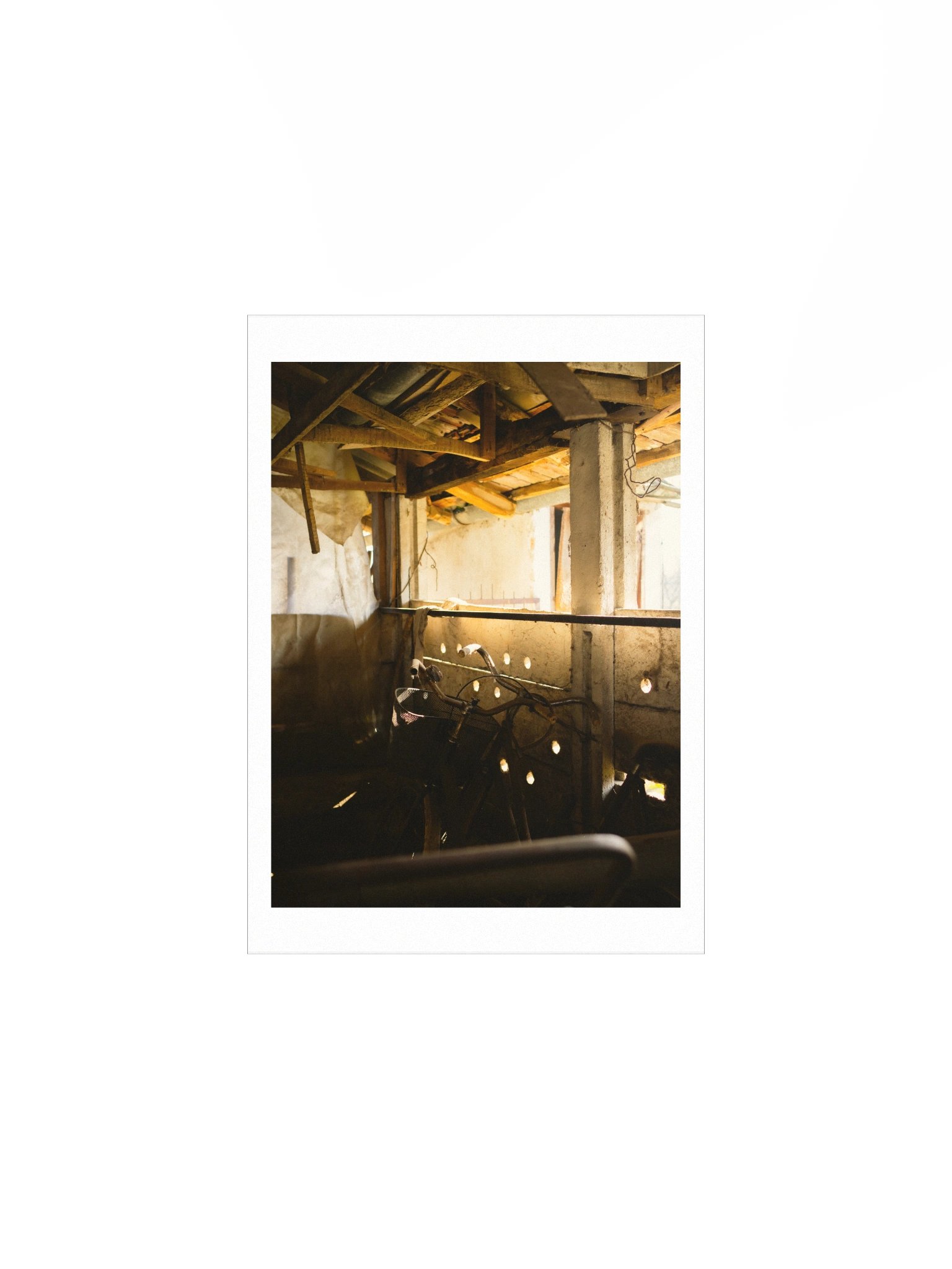Golden Hours in the Shed product image (2)