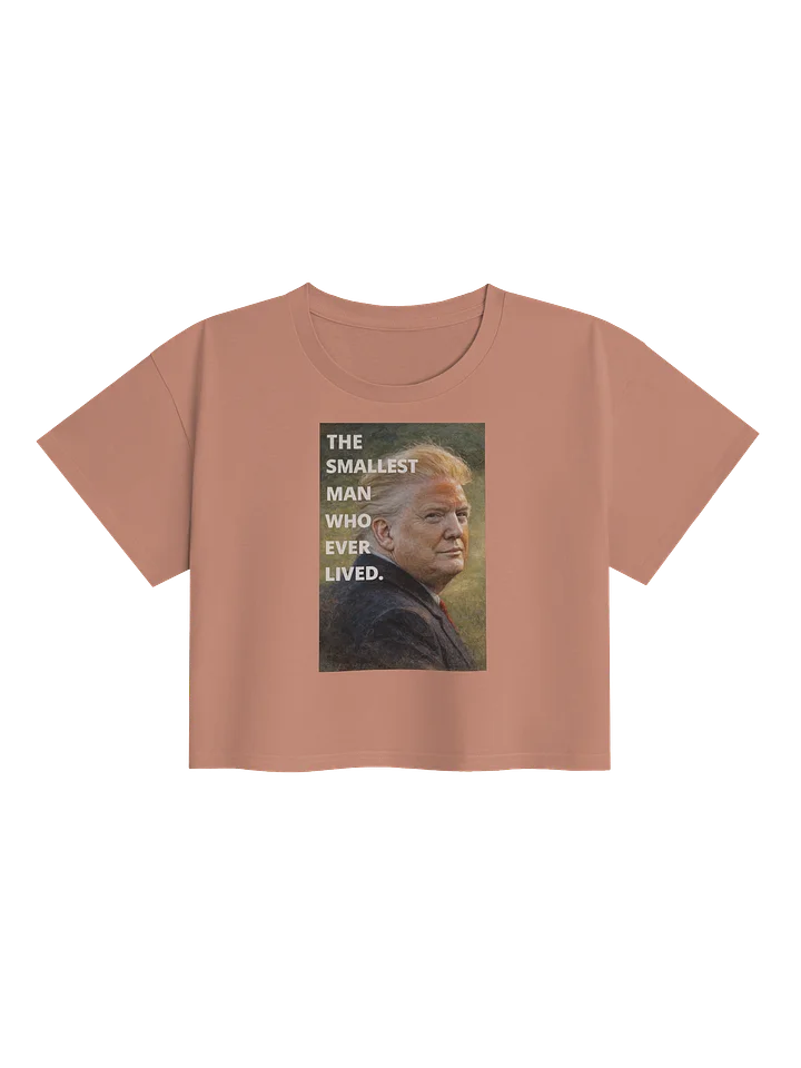 The Smallest Man Cropped Tee. product image (13)