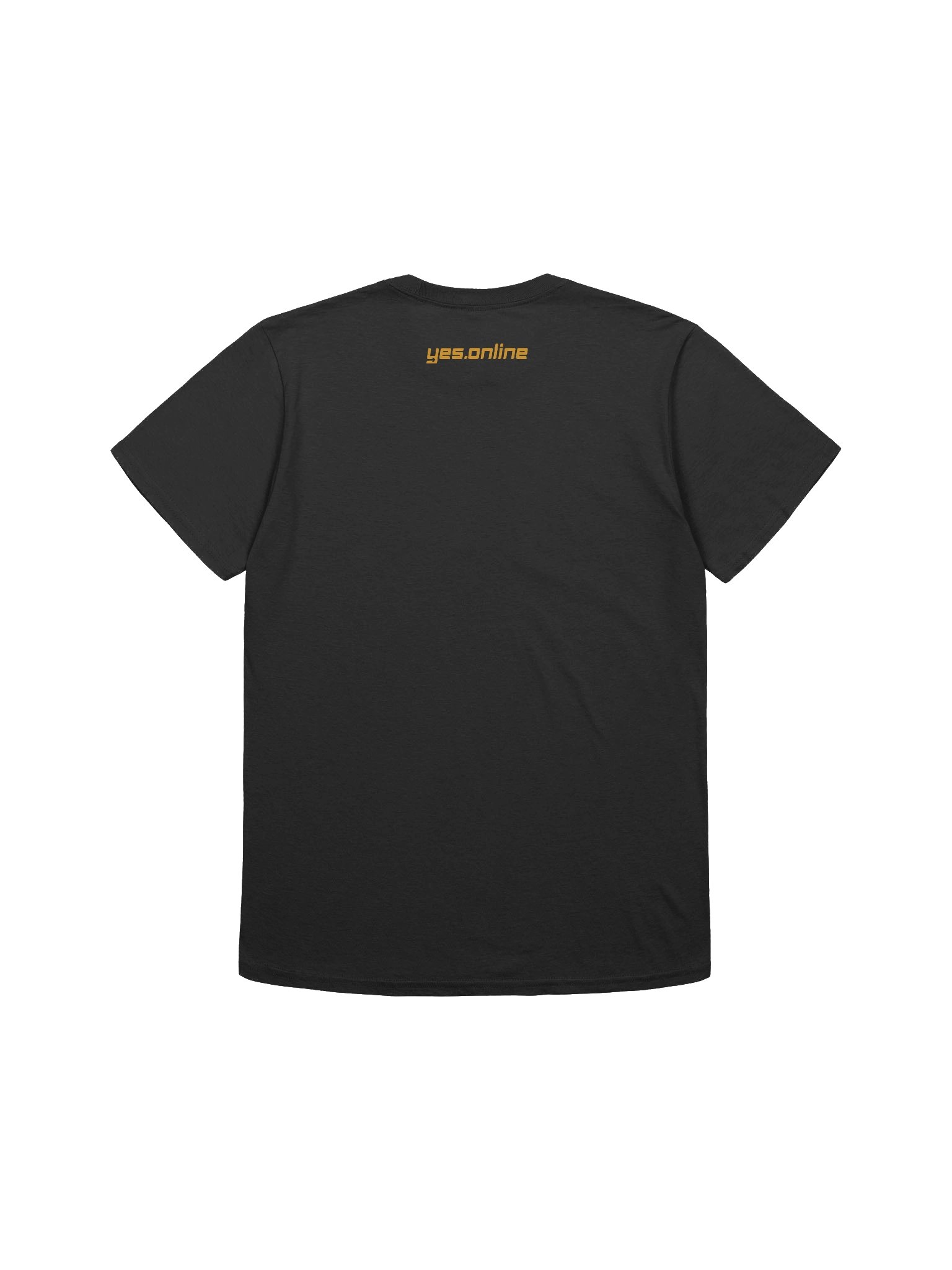 jesus unleashed product image (2)