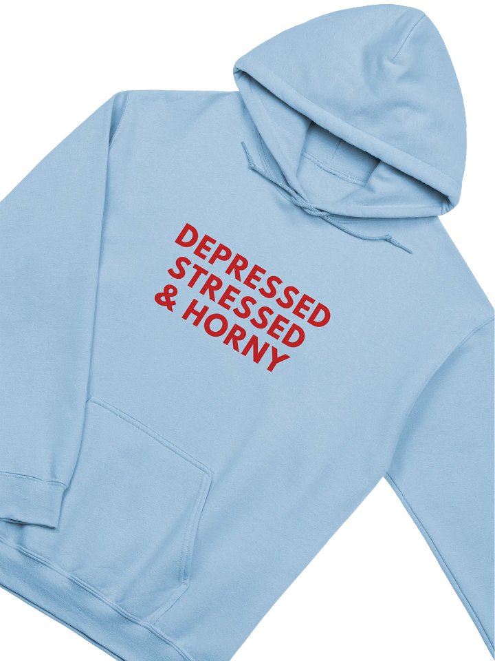 Depressed Stressed & Horny Hoodie product image (2)