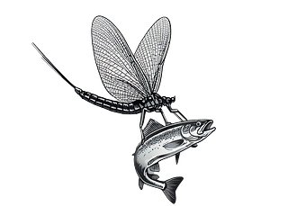 The Hungry Mayfly Co.