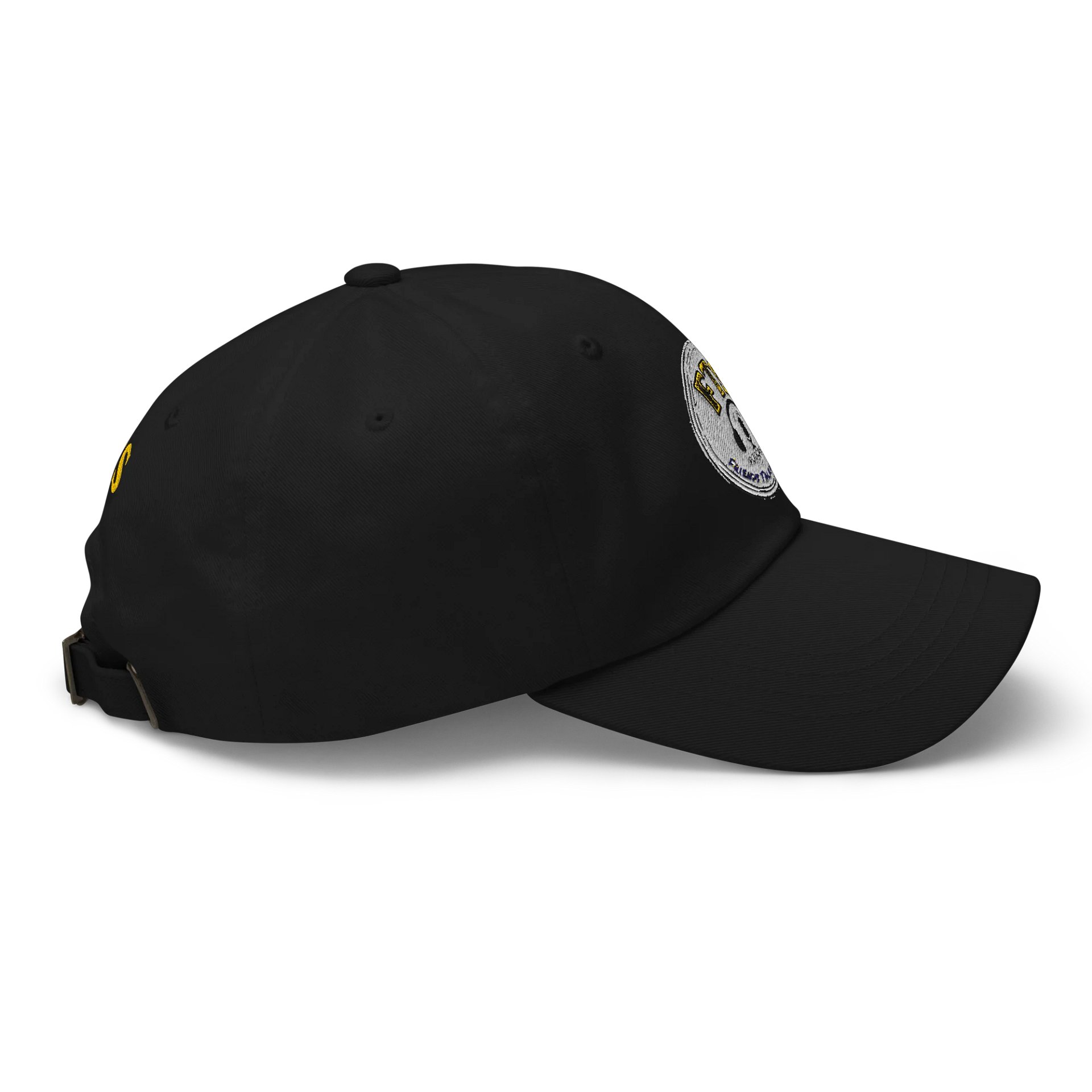 FTS Logo Hat product image (2)